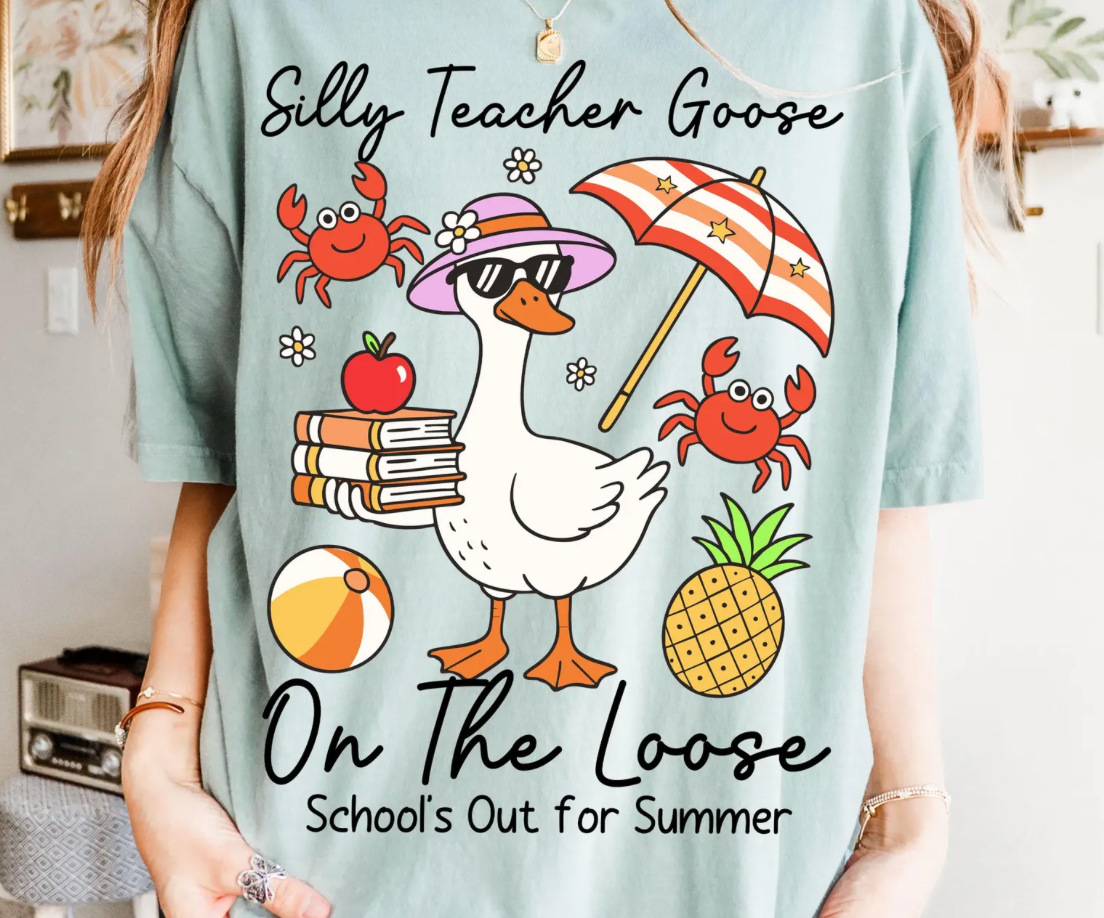 Silly Teacher Goose On The Loose