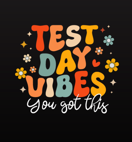 Test Day Vibes- State Testing Shirt
