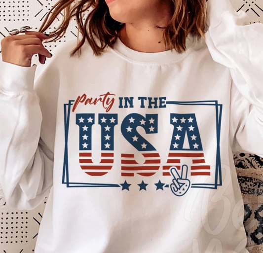 Party in the USA