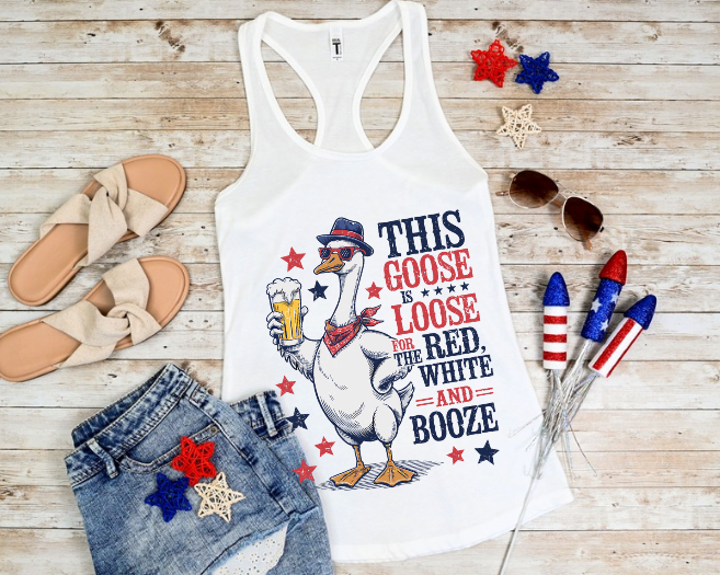 Goose is Loose