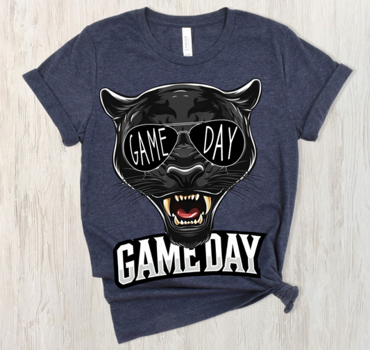 Franklin Regionals Panthers Game Day