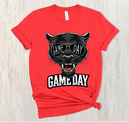 USC Panthers Game Day